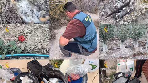 Collage de im&aacute;genes de la Operaci&oacute;n Venum (Foto Guardia Civil)