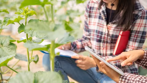 Trabajando en una explotaci&oacute;n agraria con tecnolog&iacute;a (Foto MAPA)