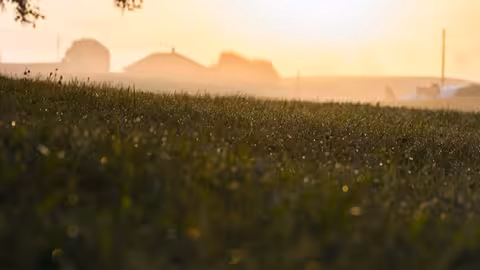 Campo de cultivo (Foto Uni&oacute;n de Uniones)
