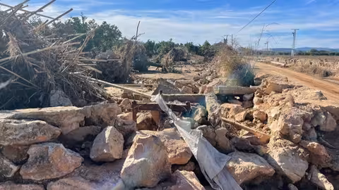 Da&ntilde;os por la DANA en una parcela agraria (Foto La Uni&oacute;)