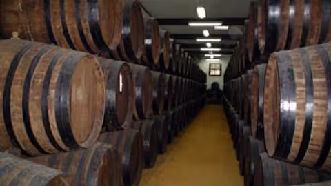 Barriles de una bodega (Foto Junta de Andaluc&iacute;a)