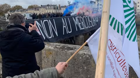 Protestas de agricultores franceses contra Mercosur (Foto FNSEA)