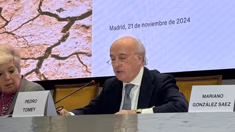 Pedro Tomey, presidente del Observatorio de Cat&aacute;strofes de la Fundaci&oacute;n Aon Espa&ntilde;a en el Instituto de lngenier&iacute;a de Espa&ntilde;a (Foto IIE)