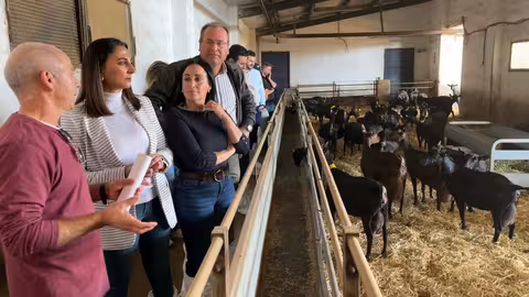La consejera Sara Rubira en la visita a una explotaci&oacute;n de ganado caprino de Yecla (Foto CARM)