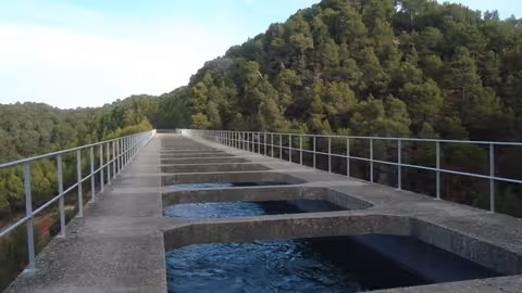 Canal del trasvase Tajo-Segura (Foto Miteco)