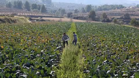 Agricultura Ecol&oacute;gica (Foto Generalitat Valenciana).jpg