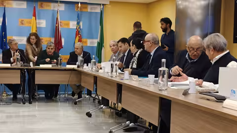 Reuni&oacute;n de la Junta de Gobierno de la CHS (Foto CARM)