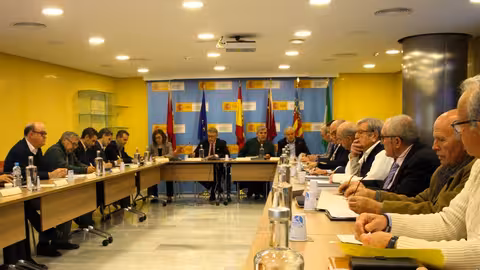 Reuni&oacute;n de la Junta de Gobierno de la CHS de diciembre 2024 (Foto CHS)