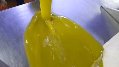 Chorro de aceite de oliva en una almazara (Foto COAG Andaluc&iacute;a)