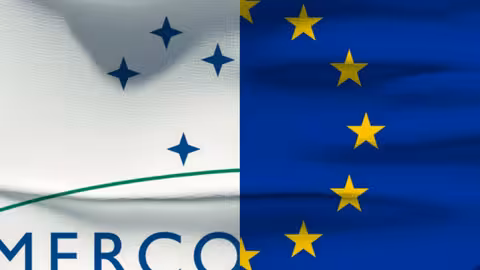 Bandera Mercosur_Uni&oacute;n Europea (Foto FEV)