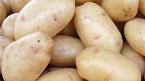 Patatas (Asaja Alicante)