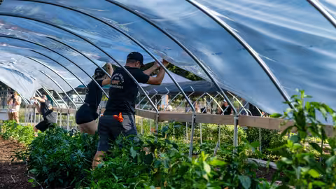 Estudio de los efectos de los pesticidas en la agricultura (Foto ibs.Granada)