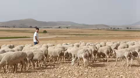 Un joven ganadero con su reba&ntilde;o en la Regi&oacute;n de Murcia (Foto CARM)