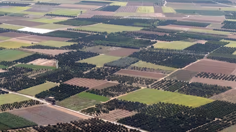 Minifundios de parcelas agrarias y tierras de cultivo (Foto Generalitat Valenciana)