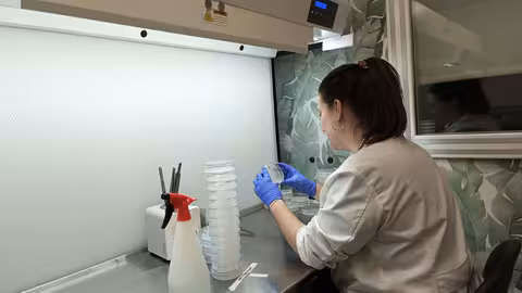 Investigadora del IMIDA sobre la mejora del cultivo de br&oacute;coli (Foto CARM)