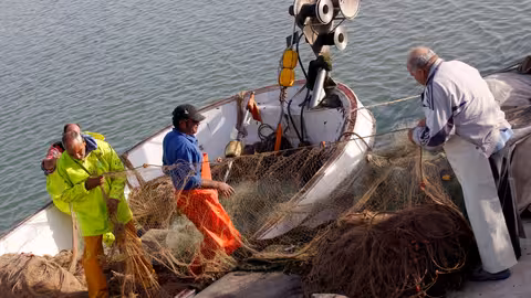 Pescadores tradicionales en el puerto (Foto Generalitat Valenciana)