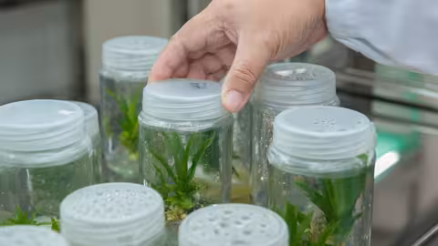 Ainia biotecnolog&iacute;a (Foto MAPA)