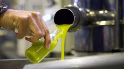 Aceite de oliva en una almazara (Foto UPA M&aacute;laga)