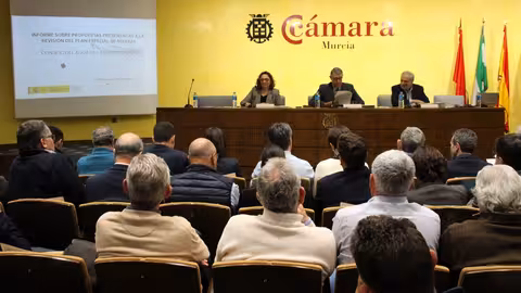 Reuni&oacute;n del Consejo del Agua en la C&aacute;mara de Comercio de Murcia (Foto CHS)