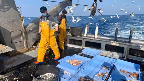 Actividad pesquera en el Mediterr&aacute;neo a bordo de un buque de Castell&oacute;n (Foto Cepesca)