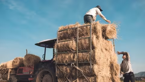 Trabajadores agrarios transportando pacas (Foto Uni&oacute;n de Uniones)