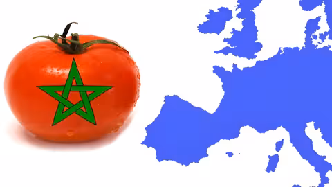 Tomate y mapa de Europa (Imagen COAG)