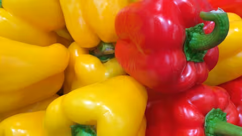 Pimiento California (Foto Coexphal)