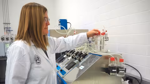 La investigadora Lourdes Mart&iacute;nez Cartas (Foto Universidad de Ja&eacute;n)