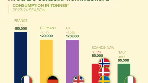 Consumo de aguacate en Europa (Infographic The World Avocado Organisation)