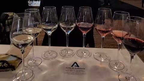 Presentaci&oacute;n de vinos de variedades minoritarias en Jerez (Foto Ifapa)