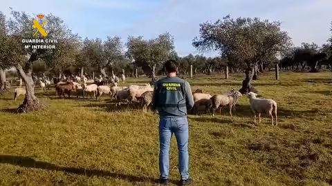 Operaci&oacute;n Nagalar de hurto de ganado (Foto Guardia Civil) Archivo