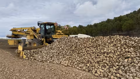 Un cargador en la zona de Tudela de Duero_Valladolid (Foto Acor)