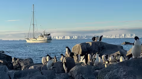 Imagen del velero Australis en la Ant&aacute;rtida (Foto Antonio Alcam&iacute; CBMSO)