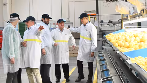 Nu&ntilde;ez Feij&oacute;o y L&oacute;pez Miras visitan una f&aacute;brica de c&iacute;tricos en Librilla (Foto PP)