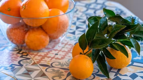 Bodeg&oacute;n con naranjas (Foto Intercitrus)