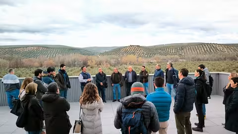 Agricultores, t&eacute;cnicos e investigadores de Espa&ntilde;a, Italia, Alemania y Finlandia en la SCA San Vicente de Mog&oacute;n, en Ja&eacute;n (Foto UPA)