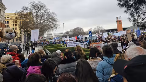 Protesta de veterinarios ante la sede del Ministerio de Agricultura (Foto Organizaci&oacute;n Colegial Veterinaria OCV)