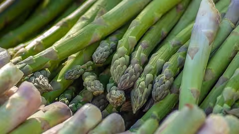 Esparrago verde (Foto Organizaci&oacute;n Interprofesional del Esp&aacute;rrago Verde de Espa&ntilde;a)