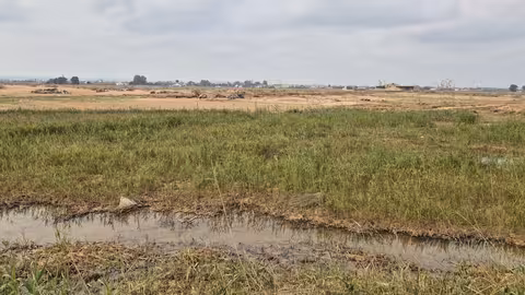 Da&ntilde;os en los arrozales de La Albufera por la DANA (Foto MAPA)
