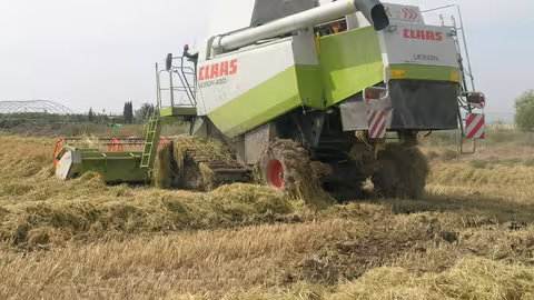 Siega del arroz (Foto La Uni&oacute;)