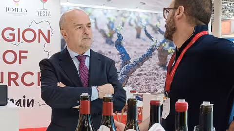 Francisco Gonz&aacute;lez Zapater, durante el encuentro con exportadores de vino de la Regi&oacute;n de Murcia en el marco de la Feria ProWein (Foto CARM9