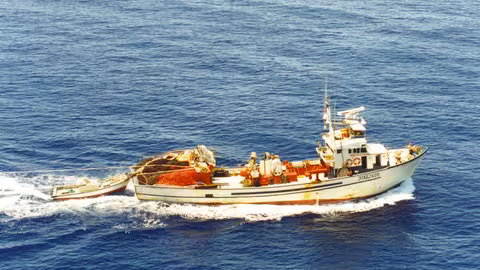 Barco de pesca de cerco (Foto MAPA)