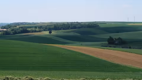 Fincas de cultivo (Foto Uni&oacute;n de Uniones)