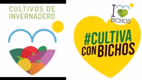 Logos HortyFruta y I love Bichos
