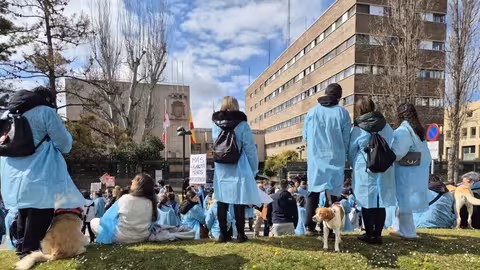 Protesta de veterinarios en Valladolid (Foto Consejo Superior de Colegios Veterinarios) Archivo