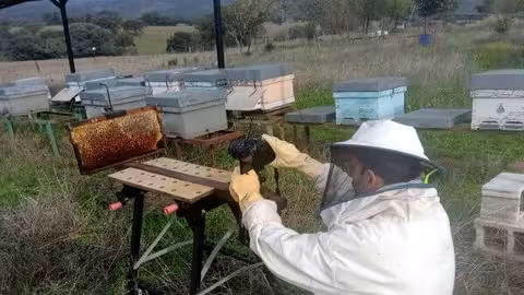 Investigador del proyecto (Foto Universidad de C&oacute;rdoba)