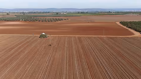 Parcela de cultivo (Foto UPA)