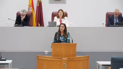 Sara Rubira en una comparecencia en el pleno de la Asamblea Regional (Foto CARM) Archivo
