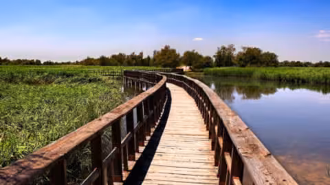 Tablas de Daimiel en primavera (Foto Asaja Ciudad Real) Archivo