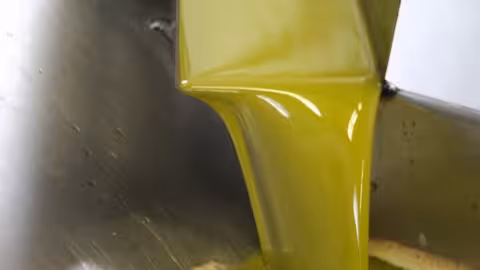 Aceite de oliva en una almazara (Foto Asaja C&oacute;rdoba)